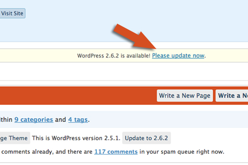 Please Update WordPress